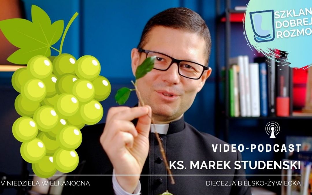 Jak wydawać w życiu dobre owoce? V niedziela WIELKANOCNA – medytacja – ks. Marek Studenski