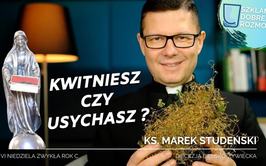 Kwitniesz czy usychasz? – 6 NIEDZIELA ZWYKŁA C