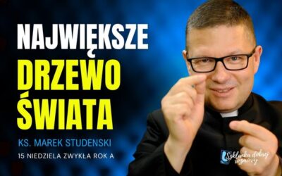 15 Niedziela Zwykła rok A