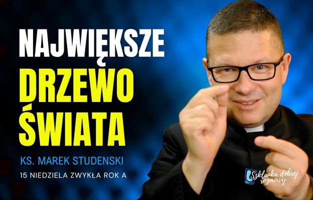 15-niedziela-zwykla-2026